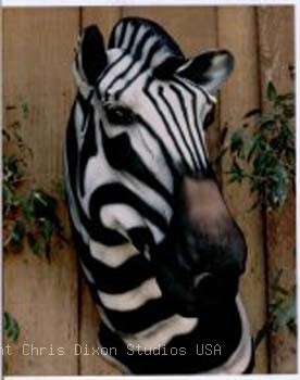 Zebra Shoulder Mountb